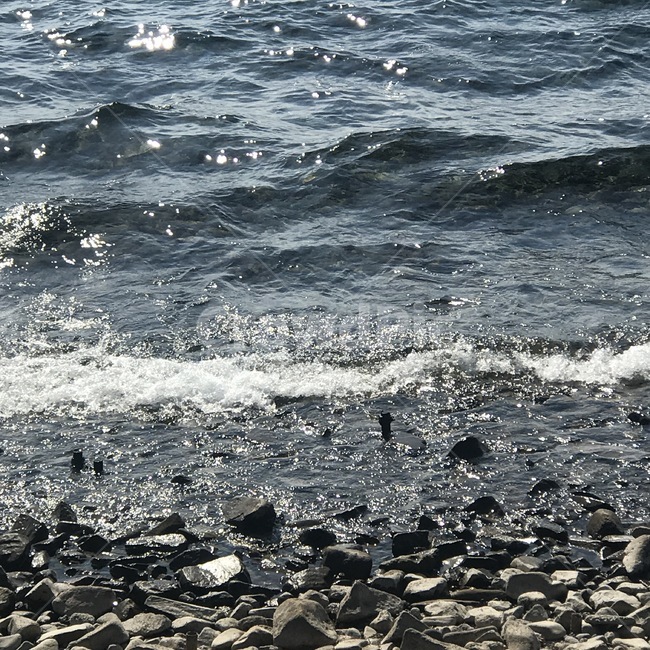 water,물,ocean,대양,nature,자연,sea,바다,outdoors,옥외,river,강,자연,풍경,nature,landscape