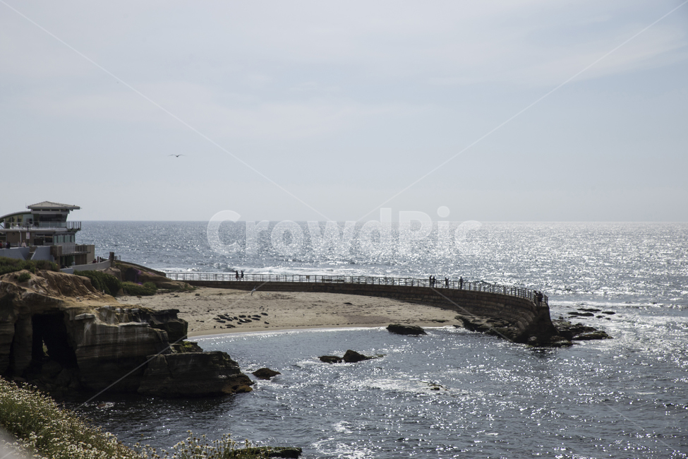 바다,비치,라호야코브,미국,캘리포니아,샌디에고,sandiego,usa,beach,sea,푸른,파란,파랑,물,돌,암석,lajollacove