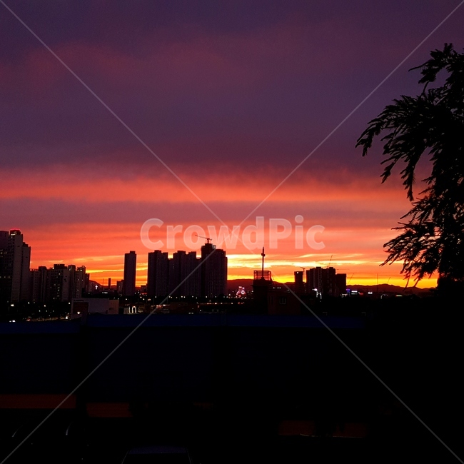 붉은하늘,노을,자연,하늘,outdoors,dawn,새벽,오후,자연,풍경,nature,landscape