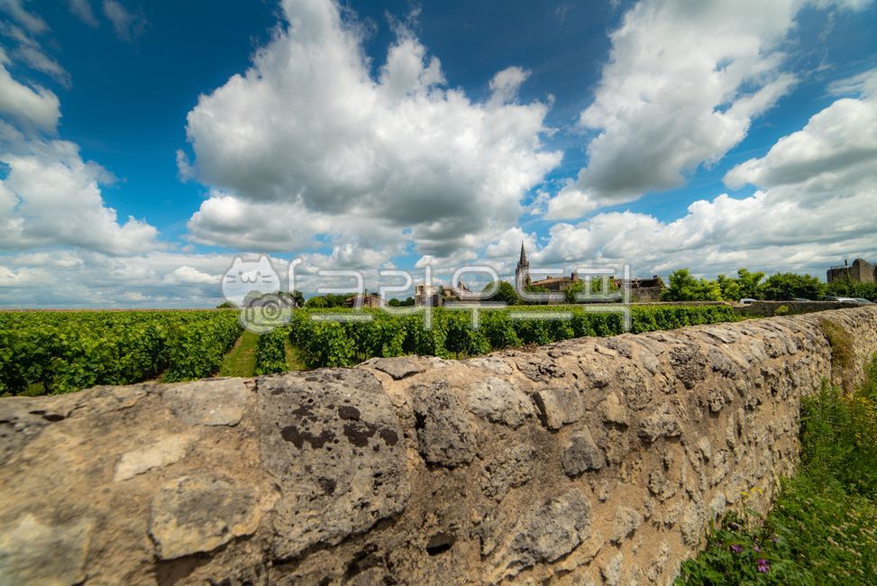 bordeaux,worldheritage,Bordeaux,villige,vinyard,saintemilion,Saint Emilion,landscope,wine village,cloud,vineyard,south of france,Town,cumulus,sight,weather,france,Emotion,europe,winevillage,bordeauxwine,sky,nature,world cultural heritage,saintmilion,Borde
