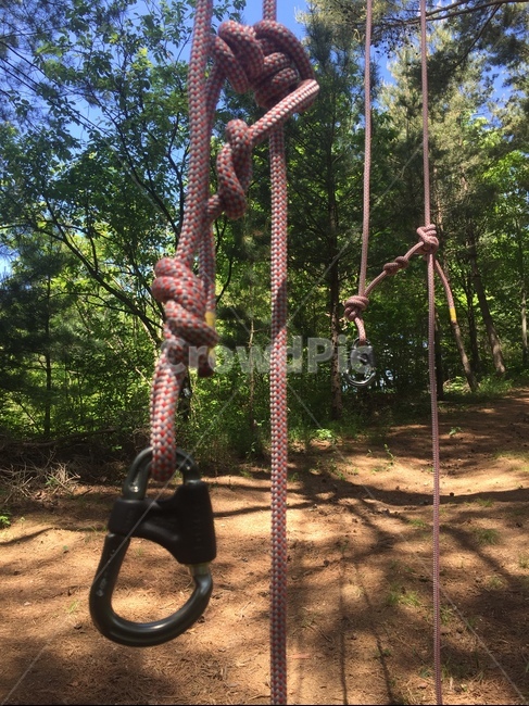 트리클라이밍,클라이밍,나무오르기,등목,매듭,카라비너,로프,자일,트리,tree,climbing,treeclimbing,스포츠,레저,운동,sports,leisure,exercise