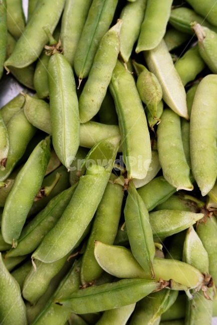콩,완두콩,농사,껍질,쌓여있는,음식,식재료,식품,여름,수확,bean,crop,음식,식재료,요리,food,cook,meal,dishes,food reserves,콩류,견과류,beans,pulse,nuts,dry fruits