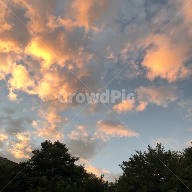 하늘,노을,해질녘,자연,경치,풍경,nature,sky,적운,날씨