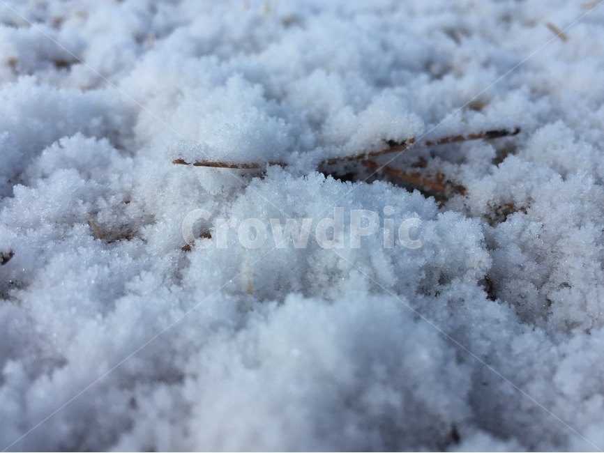 겨울,snow,눈,winter,풍경,겨울,계절,winter,season