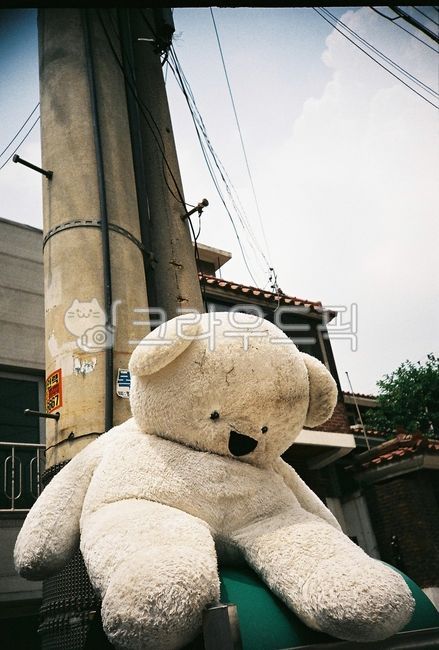 Teddy bear,doll,collection box,Separate collection,bear,trash