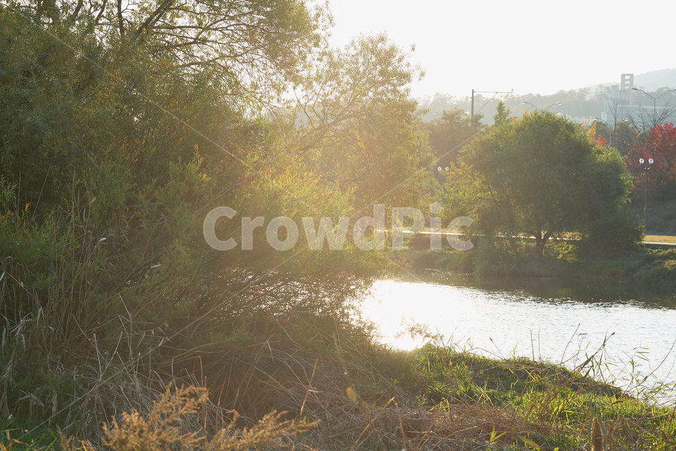 flare,자연,플레어,빛,nature,outdoors,강가,풍경,식물,자연,plants,nature