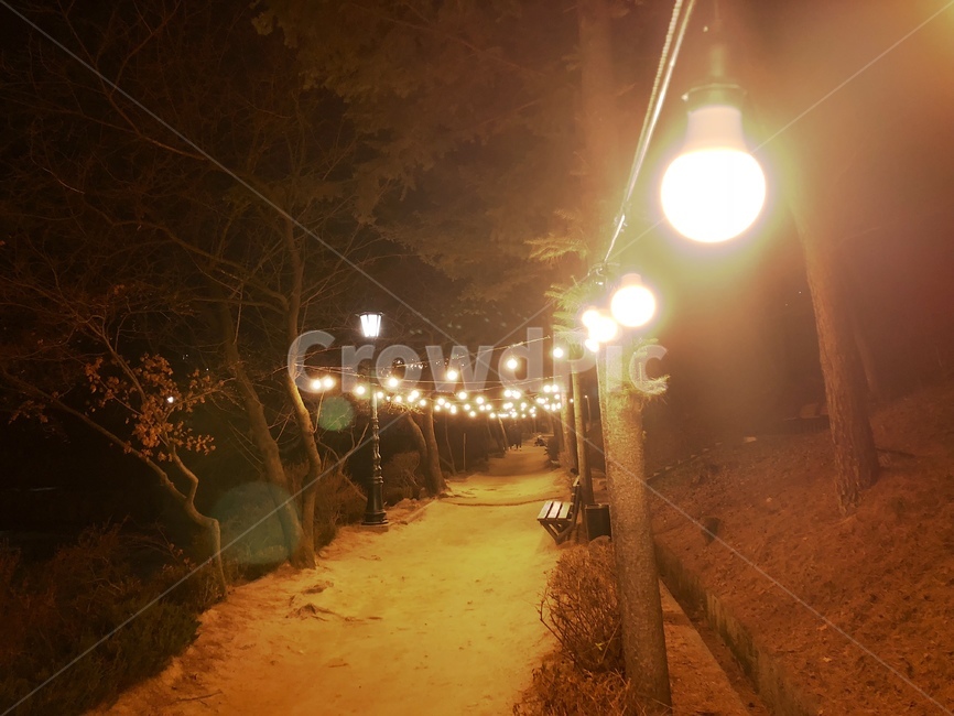 벤치,전구,공원,저수지,나무,겨울,밤,빛,따뜻한,고요함,bench,bulb,lake,park,nopeople,tree,winter,light,warm,night,아웃포커싱,야경,밤,풍경,nightscape,night,landscape,flare,플레어