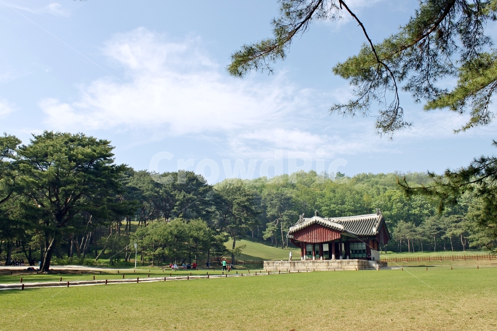 서오릉,릉,공원,잔디,고풍,문화유산,전통문화,하늘,나무,녹음,한국전통,한국문화,korean traditional,korean culture,건축물,건물외관,exterior,building,structure,architecture,construction