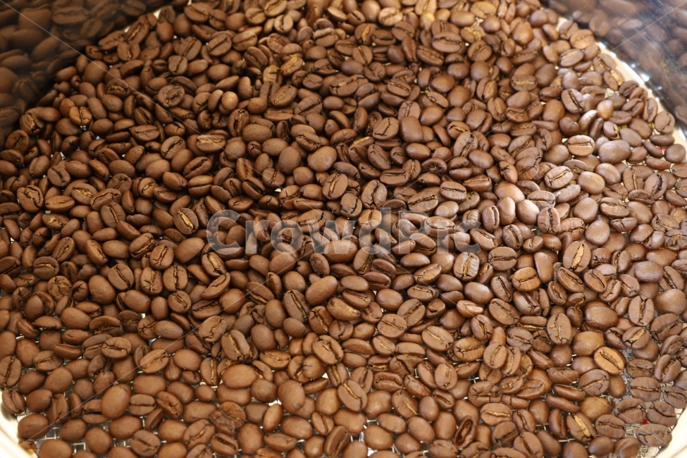 로스팅,홈로스팅,원두,생두,커피,싱글오리진,커피,카페,coffee,cafe
