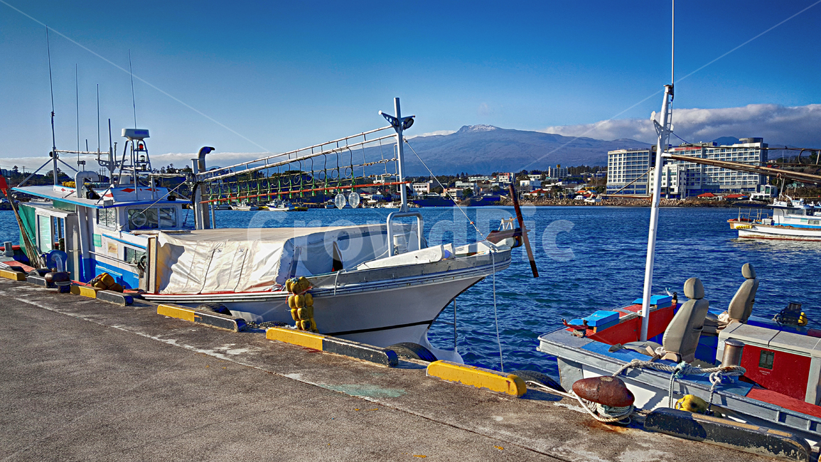 어선,항구,위미항,선박,교통,port,포트,바다,배,보트,boat,어업,fishery,fishing industry