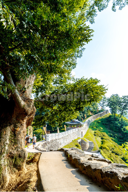 성곽길,문화유산,유네스코유산,한국의미,관광명소,자연,풍경,nature,landscape,한국자연풍경,한국자연경관,korea nature landscape,person,사람,human,인간,plant,식물,tree,나무,outdoors,옥외
