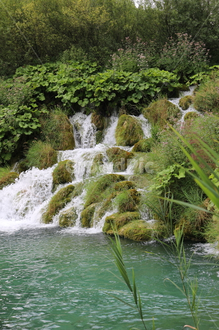 크로아티아,크로아시아,플리트비체,croatia,plitvice,plitvica,국립공원,공원,폭포,숲,요정숲,연못,강,호수,나무,여름,유럽,waterfall,pond,lake,park,tree,forest,자연,풍경,nature,landscape