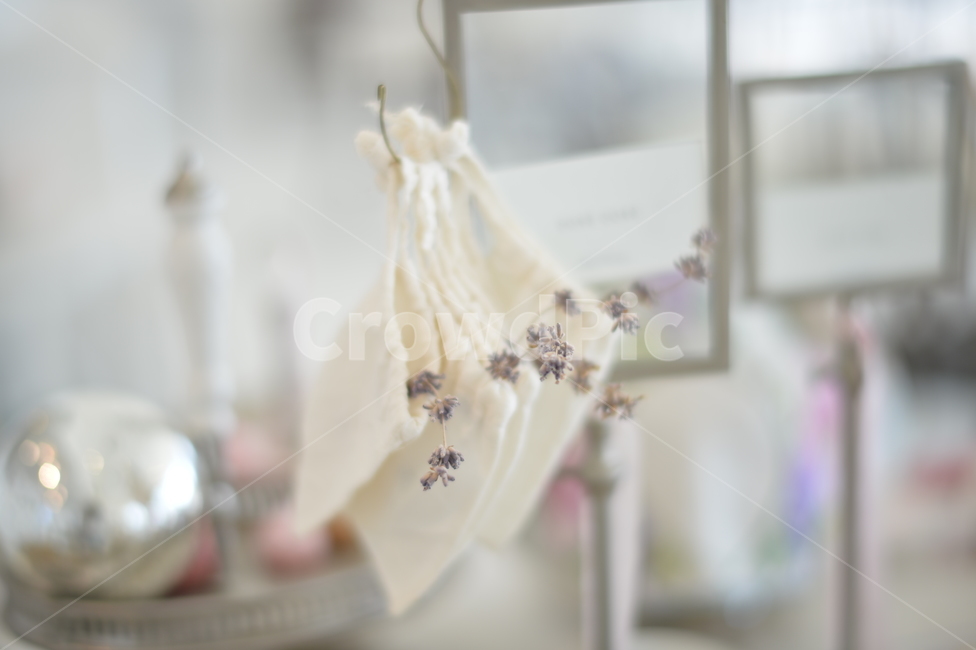 까페,드라이플라워,보케,빛망울,화이트,하얀,하얀색,말린꽃,감성,까페감성,사물,물건,오브젝트,thing,object,matter