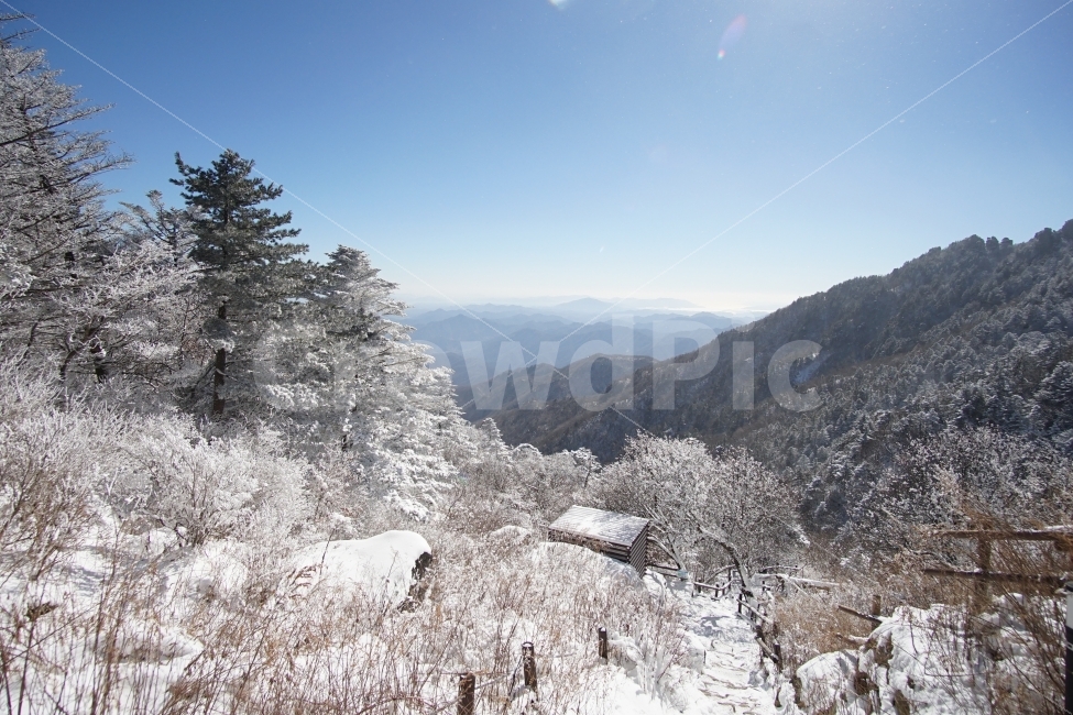 winter photo,shelter,Snow Flower,winter mountain,snowflake photo,winter landscape,Jiri Mountain Sanggodae,Jiri Mountain,commercial high school,winter hiking