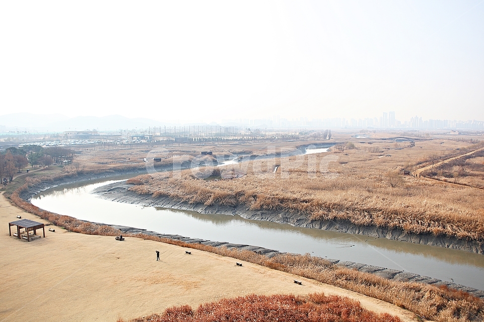 소래습지생태공원,갯골,뻘,갯벌,갈대,식믈,자연,풍경,잡초,풀,가을,바다물,생태공원,공원