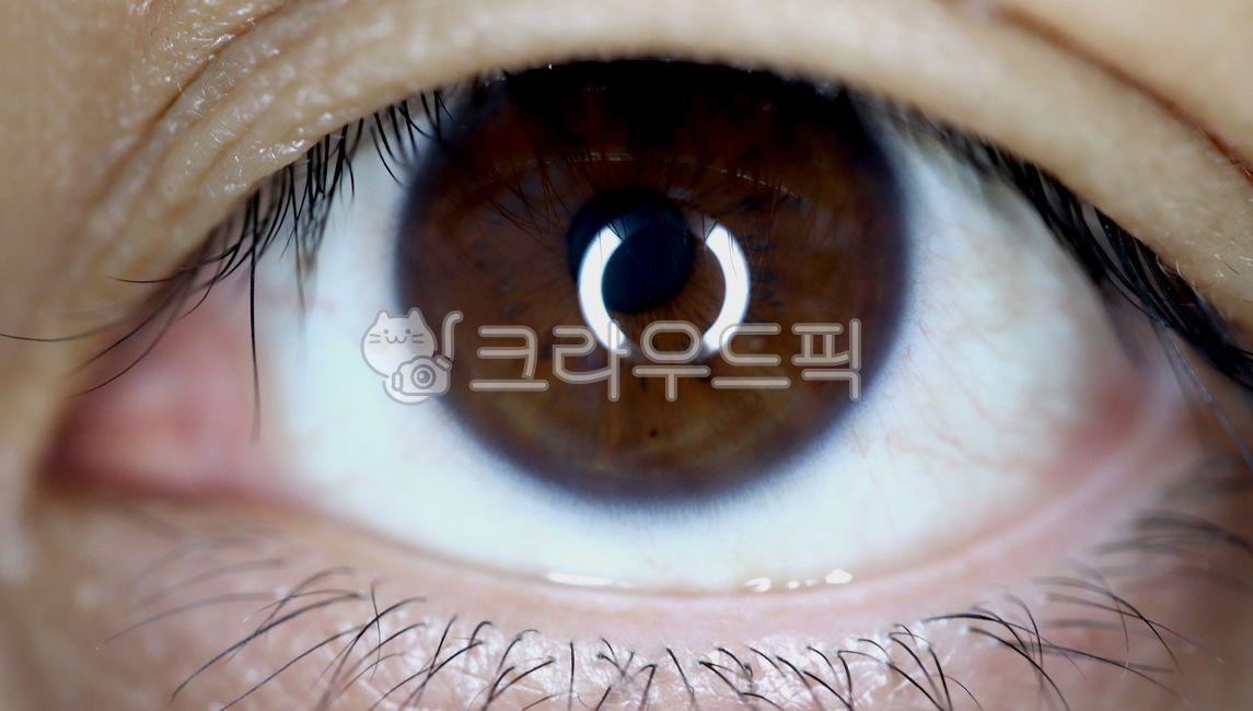 눈,신체부분,사람눈,클로즈업,얼굴,성인,한명,사람얼굴,눈동자,속눈썹,피부,각막,홍채,사람,인물,인간,human,person,신체일부,몸,body