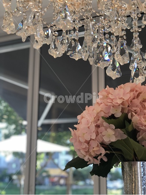 샹들리에,크리스탈,꽃,조화,접사,인테리어,실내디자인,interior design