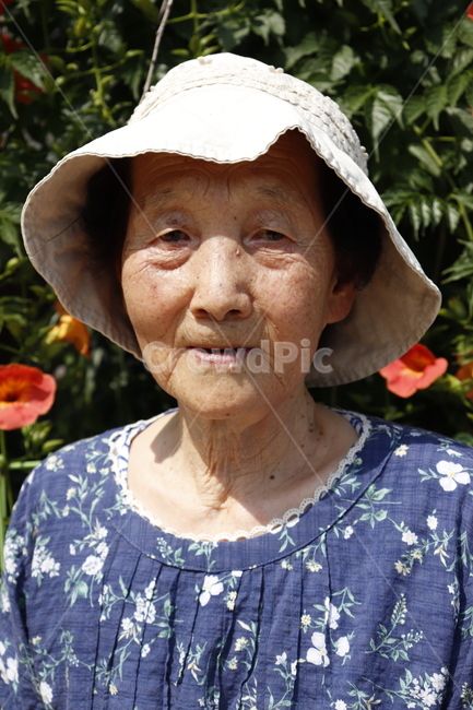 할머니,노인,여성,여자,인물,사람,사람,인물,인간,human,person,노인,어르신,old man, senior citizen