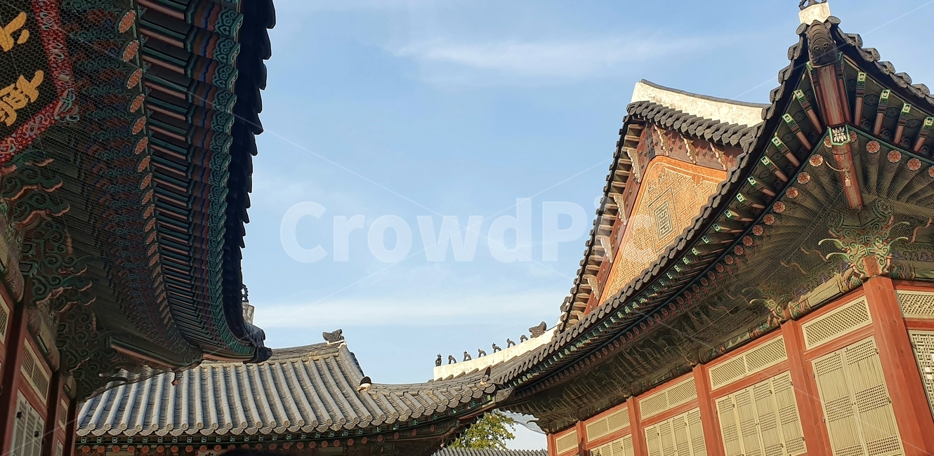 경복궁,architecture,지붕,roof,building,건물,건축물,궁,asian,한국전통,한국문화,korean traditional,korean culture