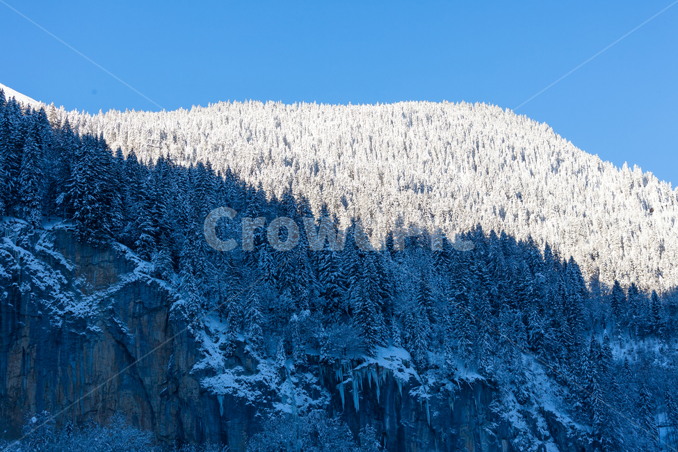 스위스,하늘,겨울,산,눈덮인,눈,숲,겨울,계절,winter,season,자연,풍경,nature,landscape,해외,외국,세계,foreign,oversea,world,세계자연풍경,해외자연풍경,외국자연풍경,world nature landscape,tree,나무,plant,식물,fir,전나무,abies,아비,outdoors,옥외,ice,빙,mountain