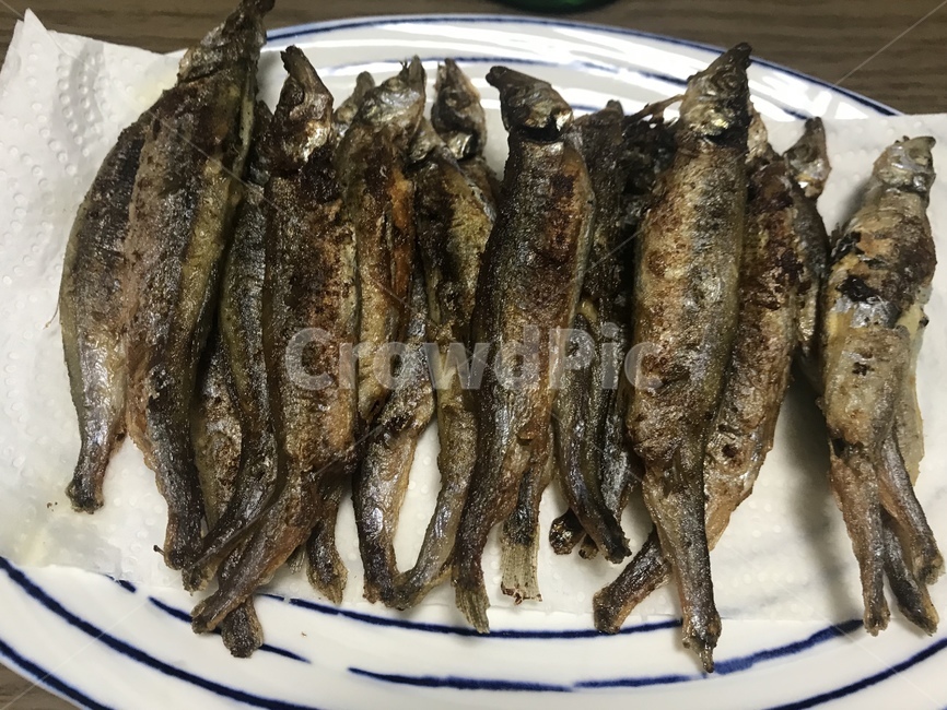 시샤모,시사모,열빙어,열빙어구이,생선,생선구이,안주,술안주,시샤모구이,시사모구이,음식,food,구운,구이