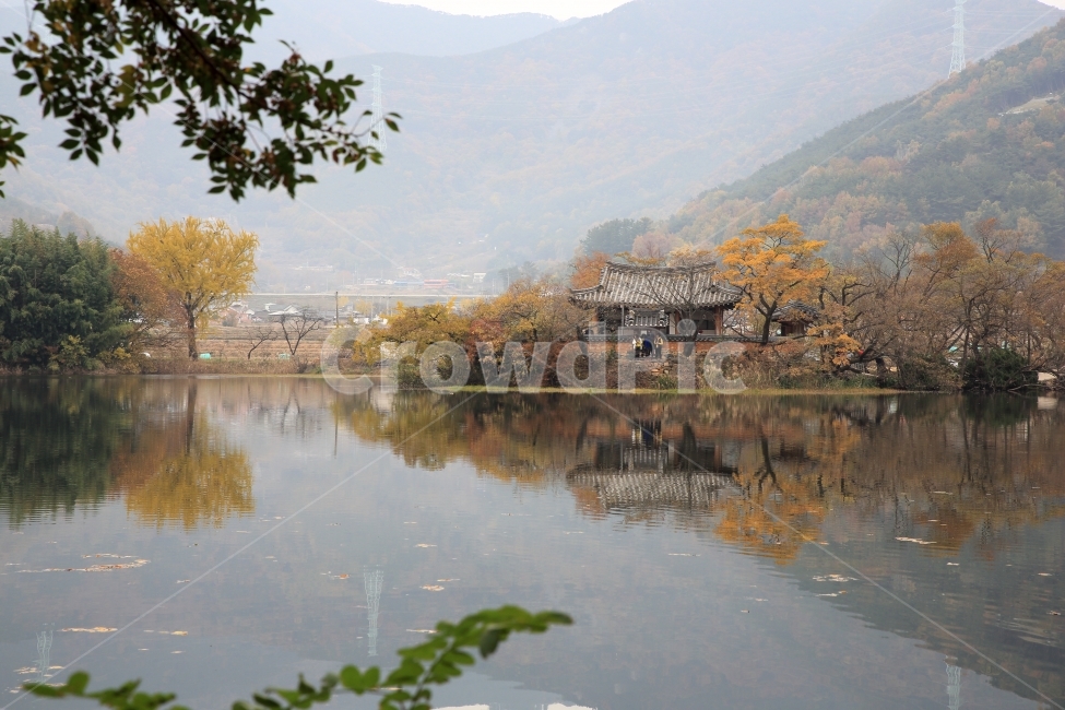 한국,풍경,호수,위양지,한옥,연못,숲,단풍,가을,계절,fall,autumn,season,자연,풍경,nature,landscape,한국자연풍경,한국자연경관,korea nature landscape,시골,마을,country,rural,town,한국전통,한국문화,korean traditional,korean culture,water,물,outdoors,옥외