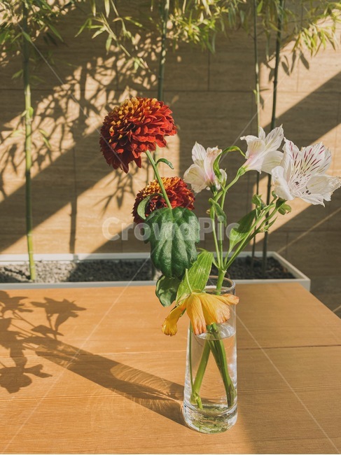 감성사진,햇살,꽃,카페,flower,blossom,flowerarrangement,plant,꽃꽂이