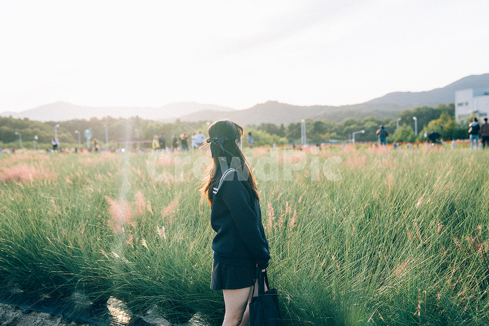 양주,나리공원,꽃,핑크뮬리,portrait,가을,계절,fall,autumn,season,사람,인물,인간,human,person,여성,여자,woman,female,lady,감성,sensible,feeling,휴식,힐링,rest,relaxation,healing,grass,잔디,plant,식물,field,들