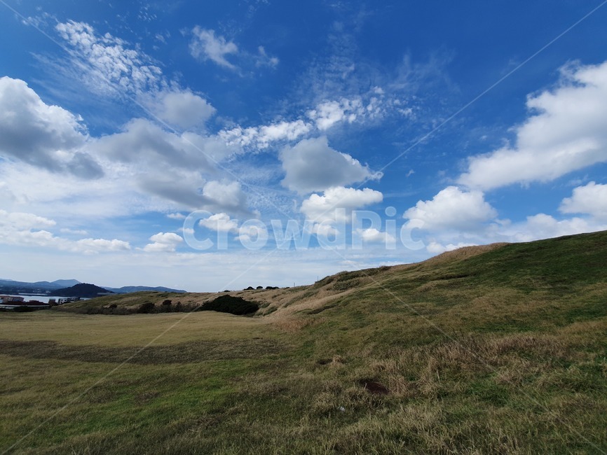 옥외,목초지,들,field,nature,자연,하늘,구름