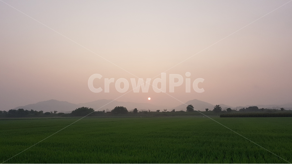 아침노을,일출,자연,아침안개,sunrise,morningglow,자연,풍경,nature,landscape,grassland,목초지,outdoors,옥외,field,들,paddy field,패디 필드