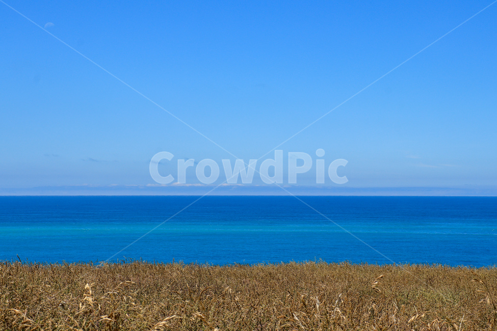 구름,억새,reed,하늘,바다,배경,파랑,blue,sky,grass,억새밭,억새풀,자연,풍경,nature,landscape,building,건물,architecture,건축물,tower,탑