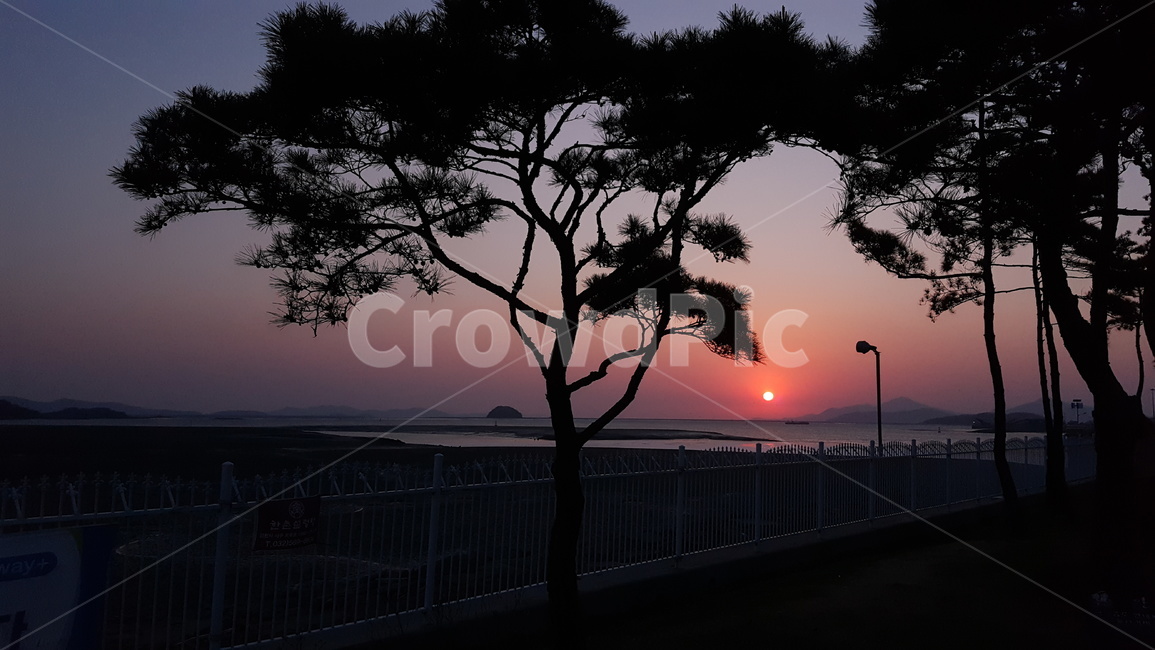 정서진,석양,서해,노을,붉은태양,자연,풍경,nature,landscape,실루엣,그림자,silhouette,shadow,outdoors,옥외,dusk,황혼,sunset,일몰,dawn,새벽,sky,하늘,red sky,붉은 하늘