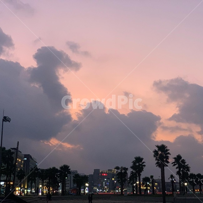 분홍색,보라색,하늘,분홍하늘,저녁,노을,바닷가,바다,해안가,해안