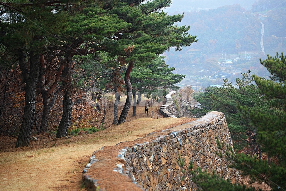 전등사,성,성곽,단풍,낙엽,산성,길,둘레길,숲,숲길,담,돌담,가을,자연,풍경,벽,방어벽,돌,나무,식물,가을,계절,fall,autumn,season,자연,풍경,nature,landscape