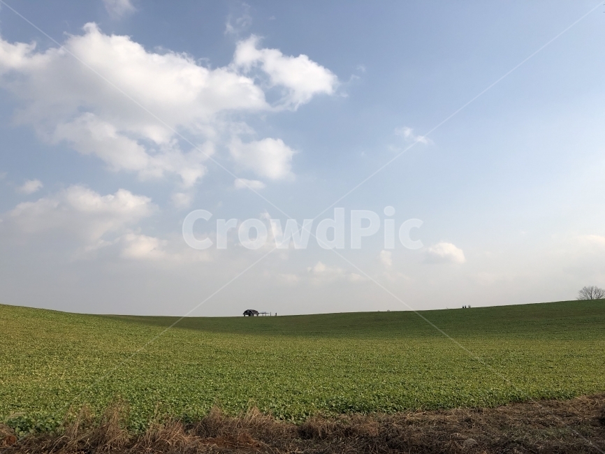 자연,초원,들판,공원,초록,자연,풍경,nature,landscape,outdoors,옥외,field,들,grassland,목초지