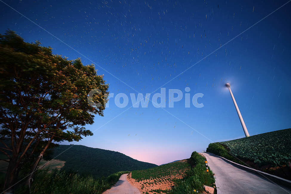 sky,travel destination,star trail,star,night sky,Antarctica,Milky Way