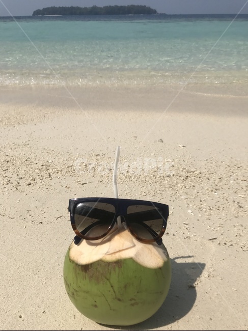 코코넛,coconut,sea,summer,리조트,바다,선글라스,sunglasses,힐링,휴가,여행,에메랄드빛,과일