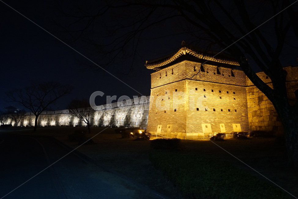 성,조명,야경,수원성,수원,한국,빛,공원,castle,lighting,nightview,suwoncastle,suwon,korea,light,park