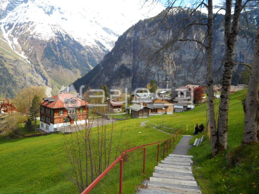 스위스,김멜발트,알프스,해외풍경,마을,나무,잔디,들,목장,산,집,오두막,자연,옥외,건물,목초지,숲,시골집,전나무,통나무집,야외,세계자연풍경,해외자연풍경,외국자연풍경,switzerland,gimmelwald,alps,overseaslandscape,village,trees,grass,field,pasture,mountain,house,hut,nature,outdoors,building,grassland,forest,cottage,firtree,logcabin,outdoor,naturalworldlandscape,overseas