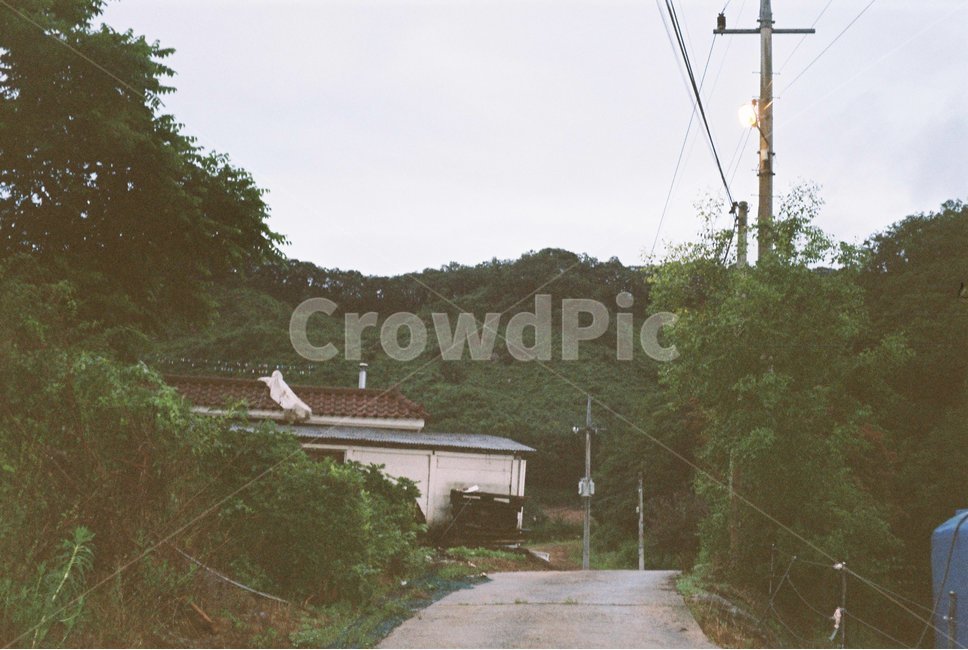 춘천,한국자연풍경,시골,비온뒤,풍경,자연,경치,정취,논,숲,시골길,흐림,흐리다,쓸쓸한,감성,감성사진,필름,필름사진,chuncheon,rural,nature,koreanaturelandscape,scenery,landscape,paddyfield,forest,cloudy,afterrain,feeling,mood,sensible,film,road,counrtyroad
