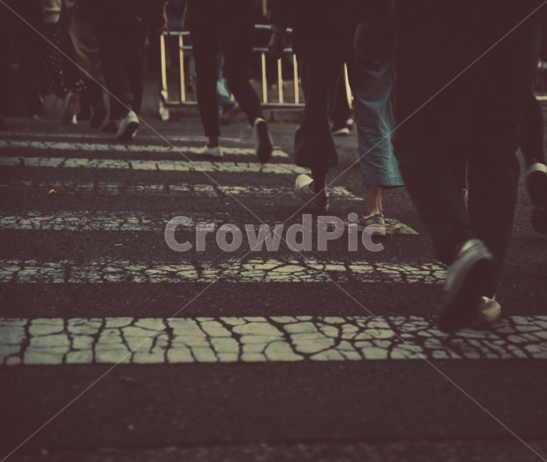 퇴근,퇴근길,일상,감성,스냅,저녁,도시,사람들,대중,군중,other people,crowd,감성,sensible,feeling,교통,교통수단,traffic,transportation,pedestrian,보행자
