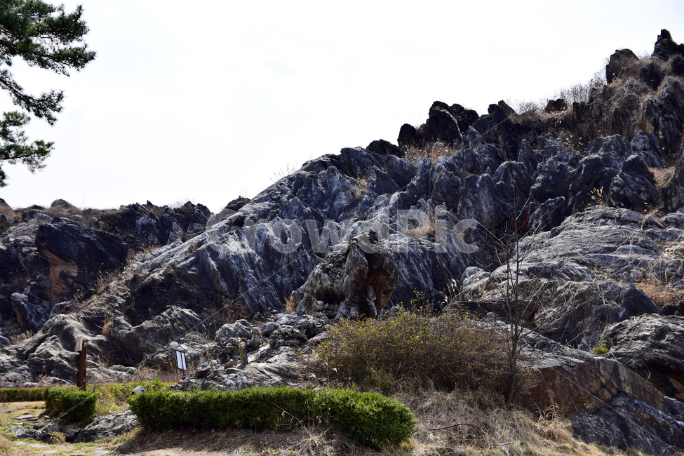 바위,암석,바위산,하얀바위,나무,흰바위,rocks,white