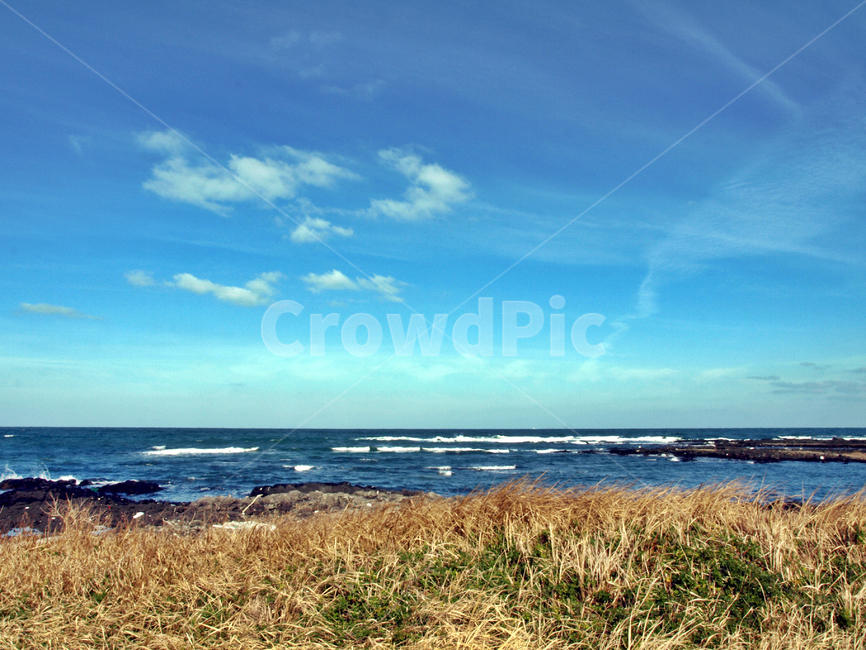해변,올레21코스,올레,제주,푸른하늘,구름,바다,자연,풍경,nature,landscape,제주도,jeju,jeju island,grass,잔디,plant,식물,shoreline,해안선,water,물,outdoors,옥외,ocean,대양,sea,land,땅