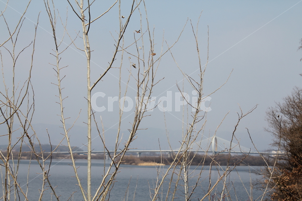 풍경,경치,호수,겨울호수,물,하늘,자연,겨울,계절,winter,season,식물,자연,plants,nature,나무,trees,wood