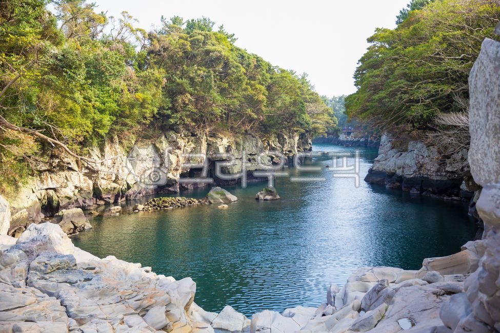 제주,제주도,쇠소깍,제주명소,바다,계곡,협곡,소나무,소나무숲,기암괴석,올레길,자연