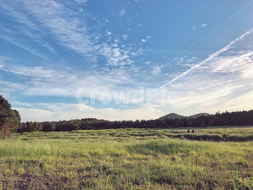 아부오름,오름,초록색,자연,제주도,제주,봄,자연,풍경,nature,landscape,휴식,힐링,rest,relaxation,healing,grassland,목초지,field,들,outdoors,옥외