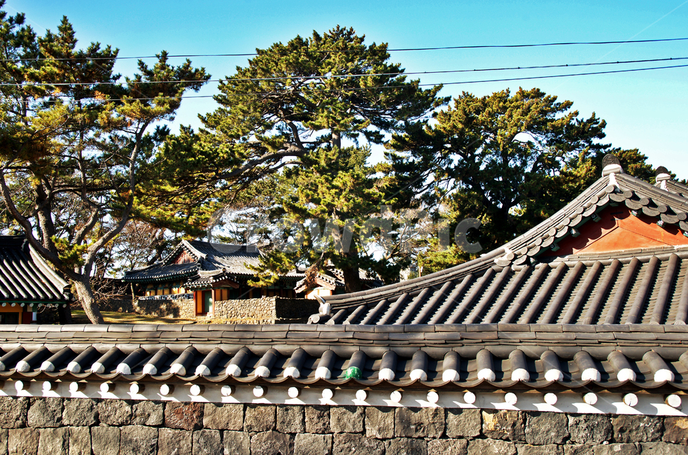 제주향교,향교,제주도,용담동,1827년,현유위패봉안,석전,공자제사,처마,기와,돌담,한국전통,한국문화,korean traditional,korean culture