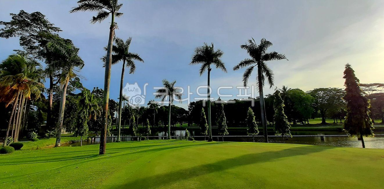 birdie,green,field,golf course,Indonesia Golf,golfcourse,Golf course afternoon,Southeast Asia Golf
