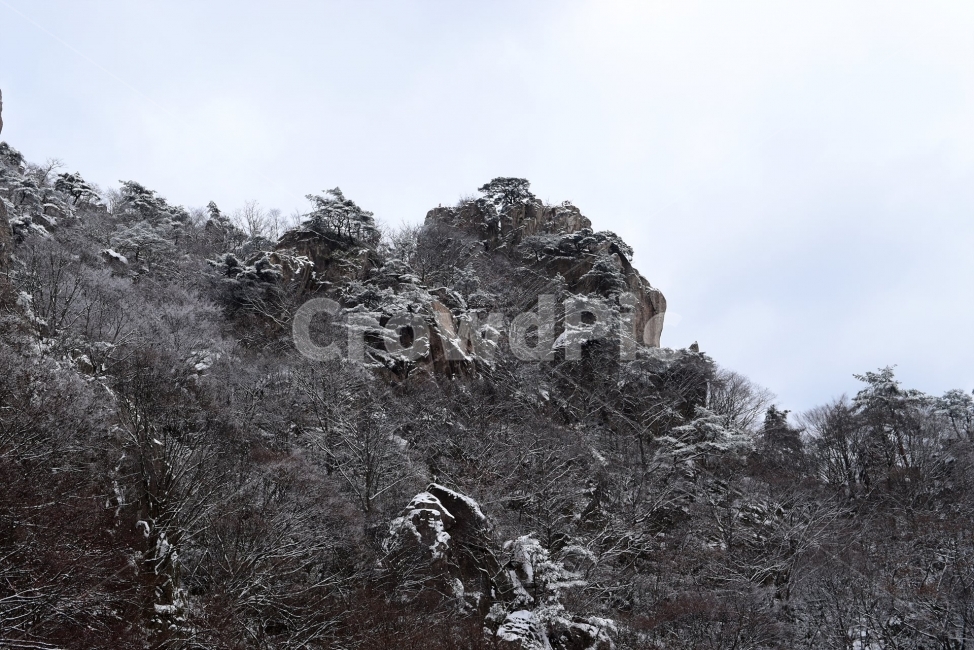 설경,풍경,대둔산,눈꽃,삼선계단,자연,nature,landscape,겨울,계절,winter,season,탐방,도립공원,힐링,감성,정취,산세,명산,100대명산,산,등산,트레킹,풍경사진,비경,경치,겨울사진,겨울색채,경관,기암,암봉우리,mountain,금산,완주,논산,마천대,케이블카,구름다리,fall,autumn,한국자연풍경,한국자연경관,korea,겨울,계절,winter,season,자연,풍경,nature,landscape,tree,나무,plant,식물,outdoors,옥외,fir,전나무