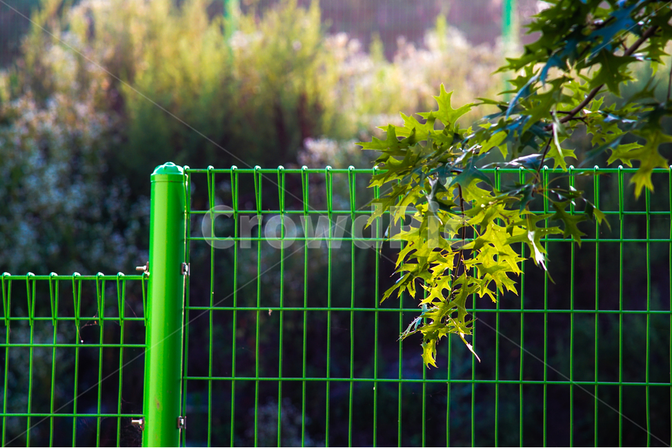 담장,철제,녹색,나뭇잎,울타리,자연,풍경,nature,landscape,식물,plants,railing,난간